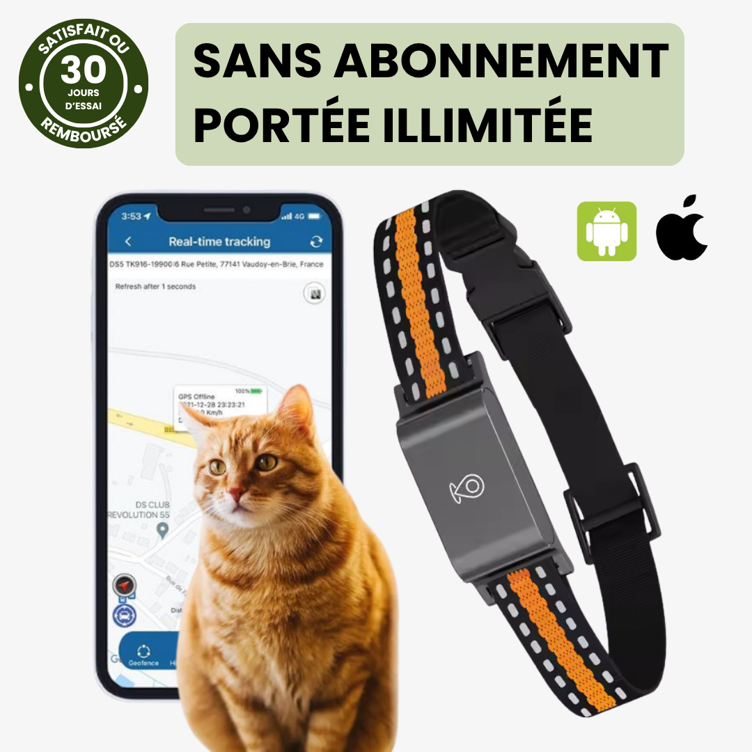 Collier GPS chat sans abonnement étanche et léger avec puce GPS chat et suivi en temps réel