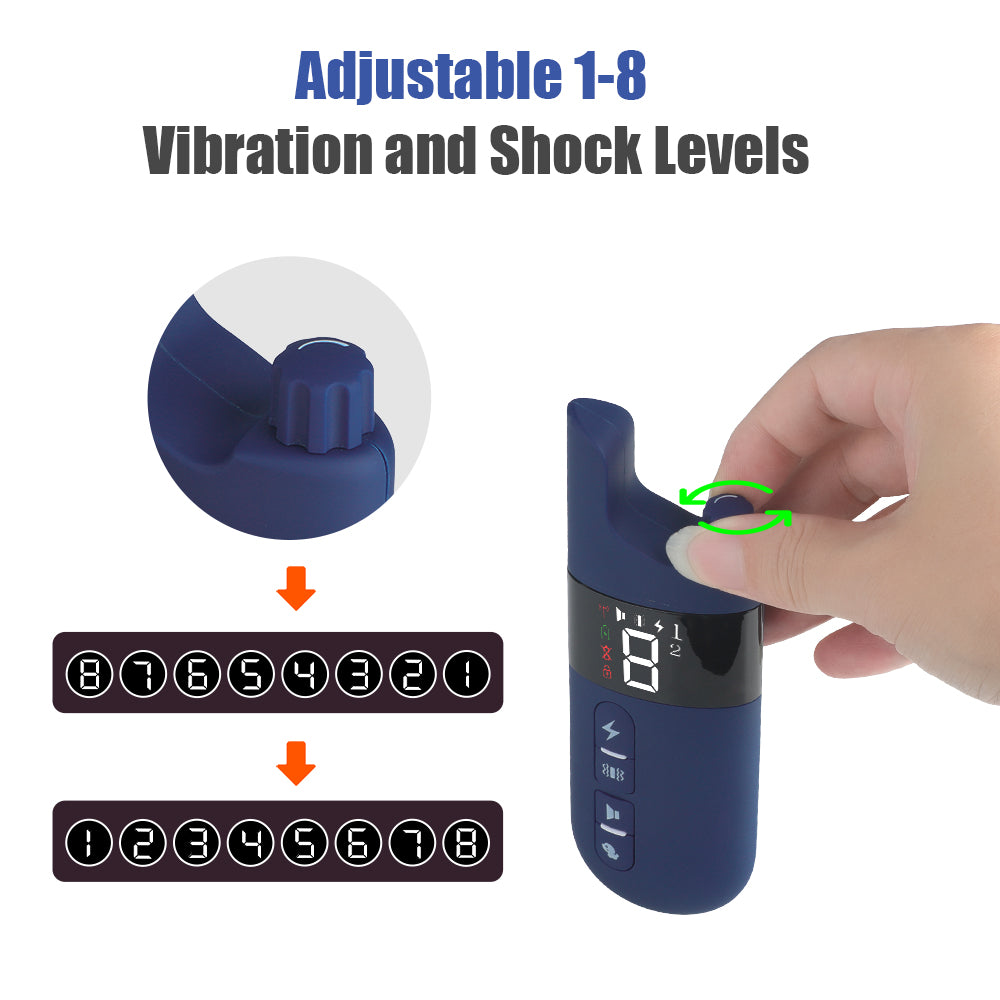 Hundehalsband elektrisch – Wasserdichtes Trainingshalsband mit Fernbedienung, Schock, Vibration und Ton