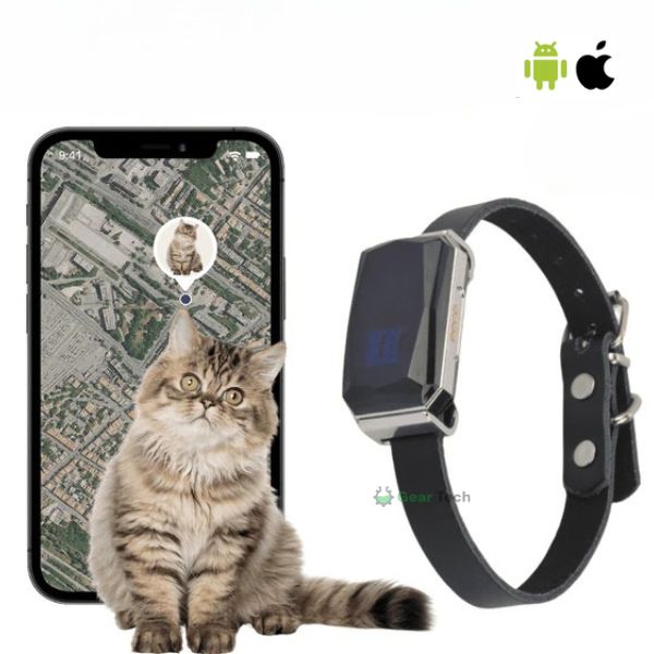Collare GPS per Animali | Impermeabile, Regolabile e con Portata Illimitata per Cani e Gatti