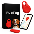 Localizzatore GPS per Cani | Impermeabile, Posizione in Tempo Reale e Avvisi di Zona di Sicurezza per Avventure all’Aperto