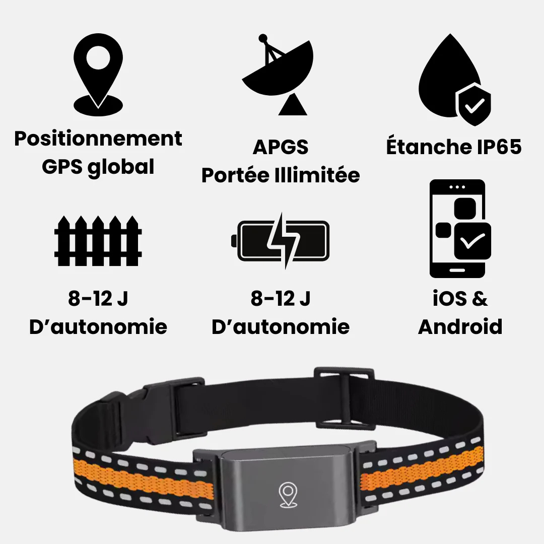 Collier GPS chat sans abonnement étanche et léger avec puce GPS chat et suivi en temps réel