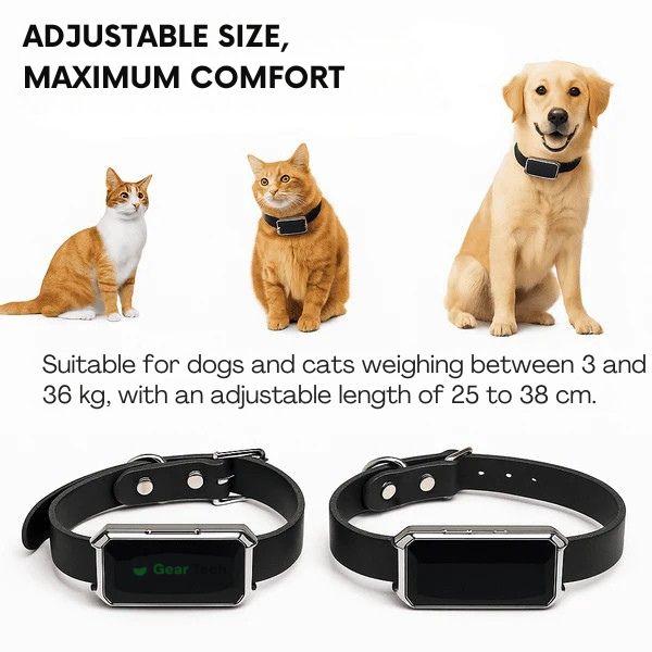 Collare GPS per Cani | Impermeabile, Regolabile e con Portata Illimitata per il Tracciamento in Tempo Reale