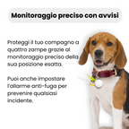 GPS per Cani – Senza Abbonamento | Tracciamento in Tempo Reale