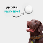 GPS per Cani – Senza Abbonamento | Tracciamento in Tempo Reale