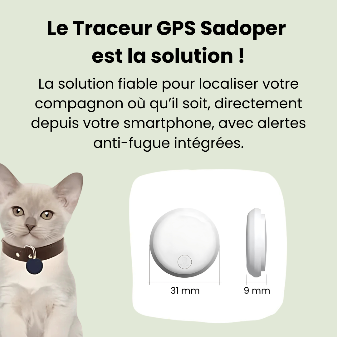 Collier chat GPS léger et étanche, gps pour chat sans abonnement avec suivi temps réel et collier anti étranglement
