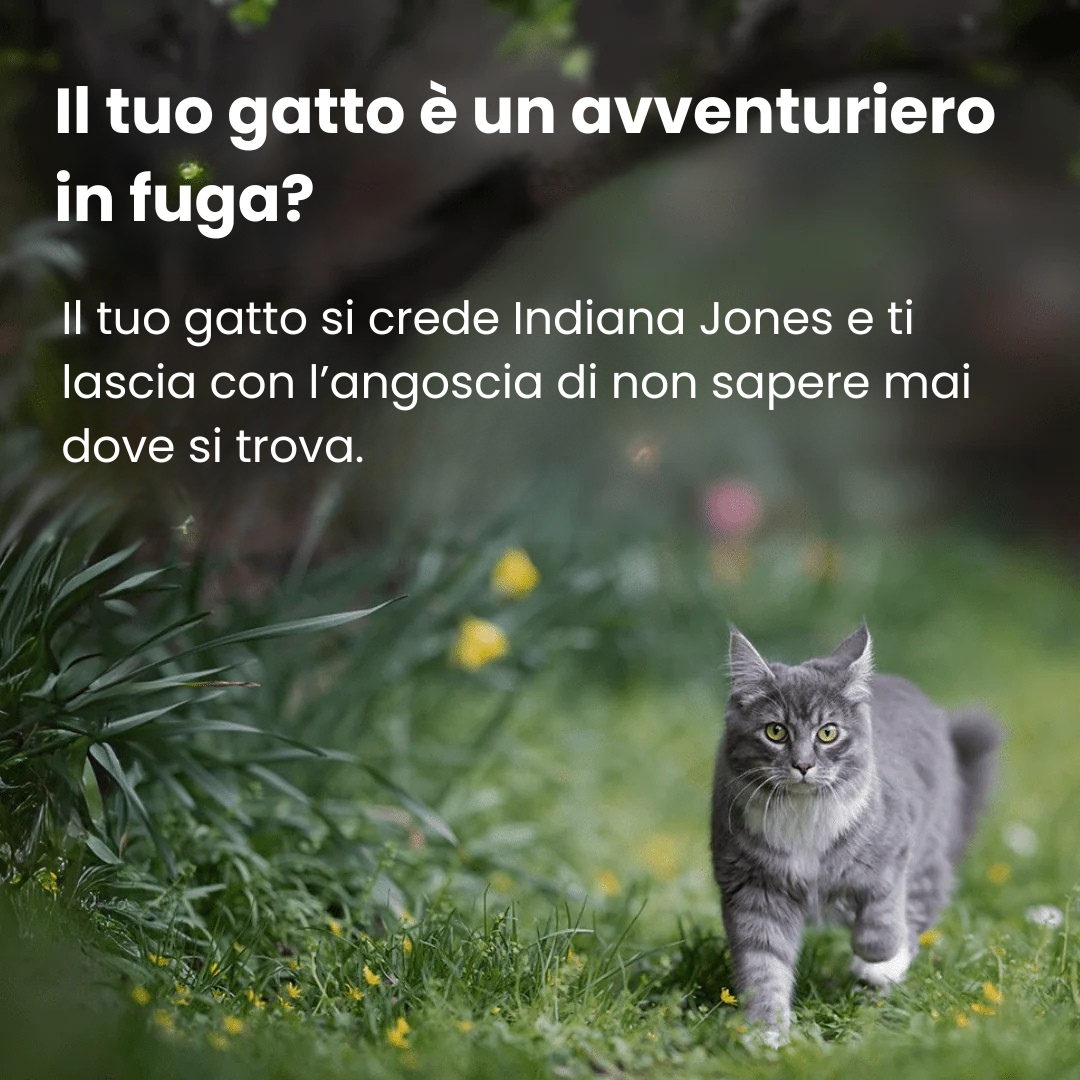 GPS per Gatti – Senza Abbonamento | Tracciamento in Tempo Reale