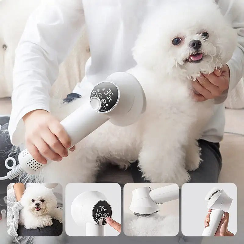 Hundefön leise mit Bürste – Geräuscharmer Pet Dryer für Hunde & Katzen mit Ionen-Technologie