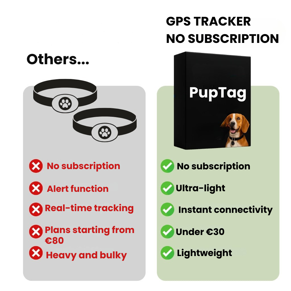Localizzatore GPS per Cani | Impermeabile, Posizione in Tempo Reale e Avvisi di Zona di Sicurezza per Avventure all’Aperto