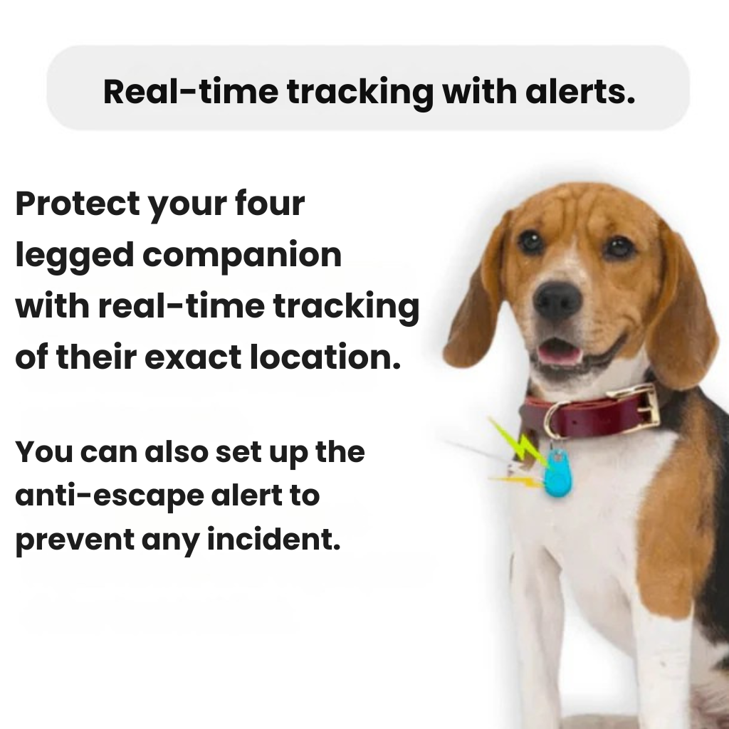Localizzatore GPS per Cani | Impermeabile, Posizione in Tempo Reale e Avvisi di Zona di Sicurezza per Avventure all’Aperto