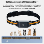 Collier GPS chat sans abonnement étanche et léger avec puce GPS chat et suivi en temps réel