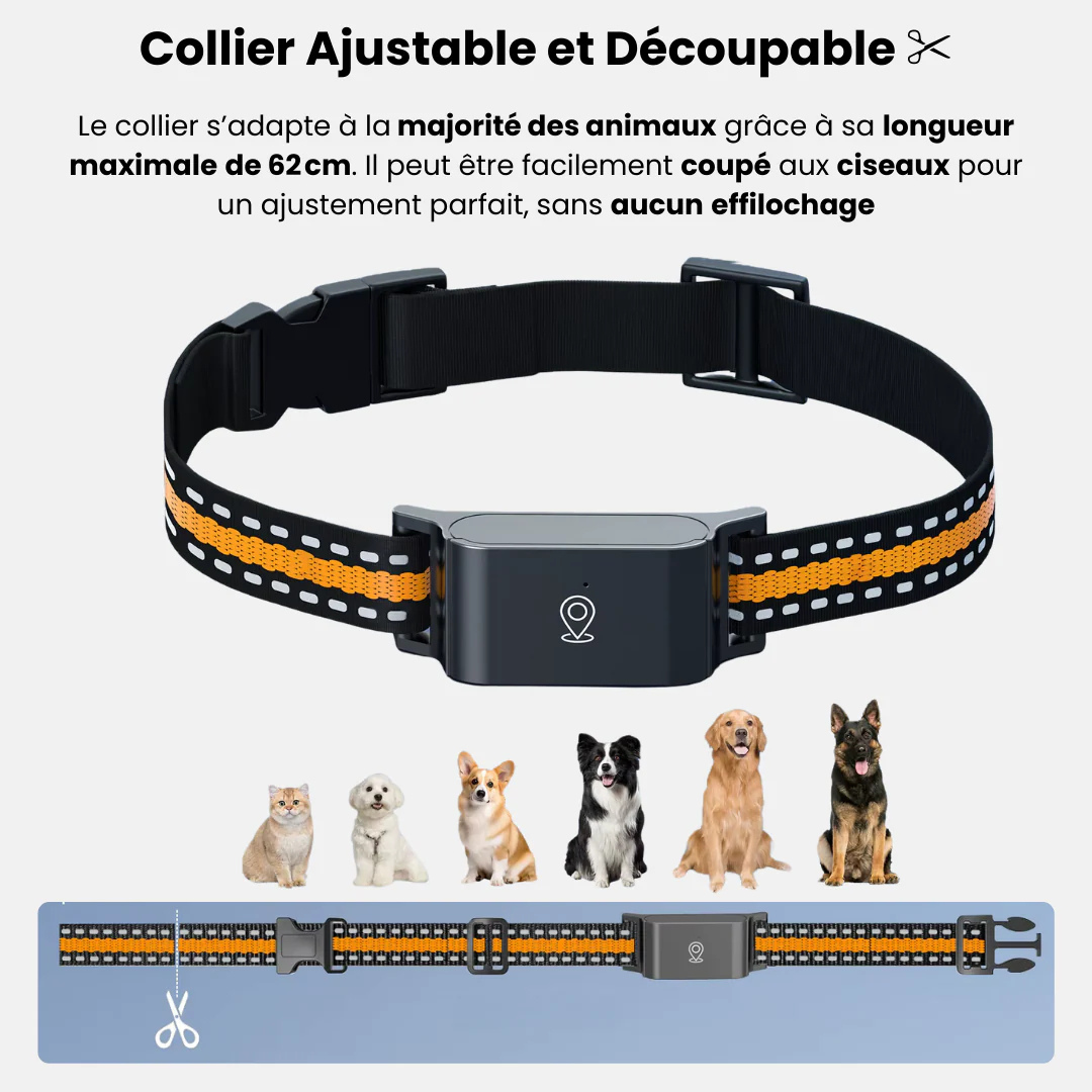 Collier GPS chat sans abonnement étanche et léger avec puce GPS chat et suivi en temps réel