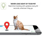 Collare GPS per Animali | Impermeabile, Regolabile e con Portata Illimitata per Cani e Gatti