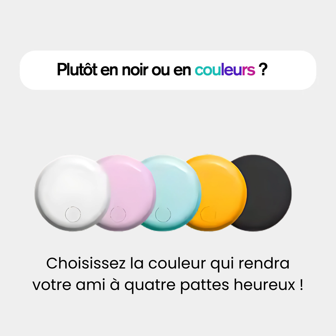 Collier chat GPS léger et étanche, gps pour chat sans abonnement avec suivi temps réel et collier anti étranglement