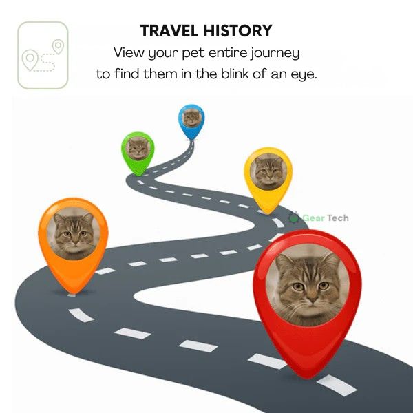 Collare GPS per Animali | Impermeabile, Regolabile e con Portata Illimitata per Cani e Gatti