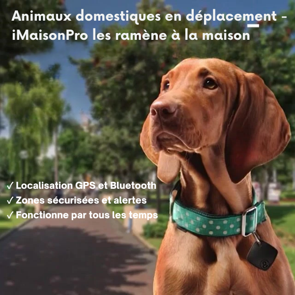 Kompakter wasserdichter GPS-Tracker mit Diebstahlalarm für Schlüssel, Taschen, Gepäck und persönliche Gegenstände