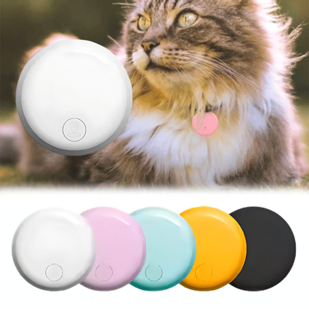 Collier chat GPS léger et étanche, gps pour chat sans abonnement avec suivi temps réel et collier anti étranglement