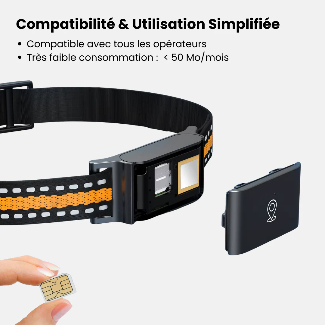 Collier GPS chat sans abonnement étanche et léger avec puce GPS chat et suivi en temps réel