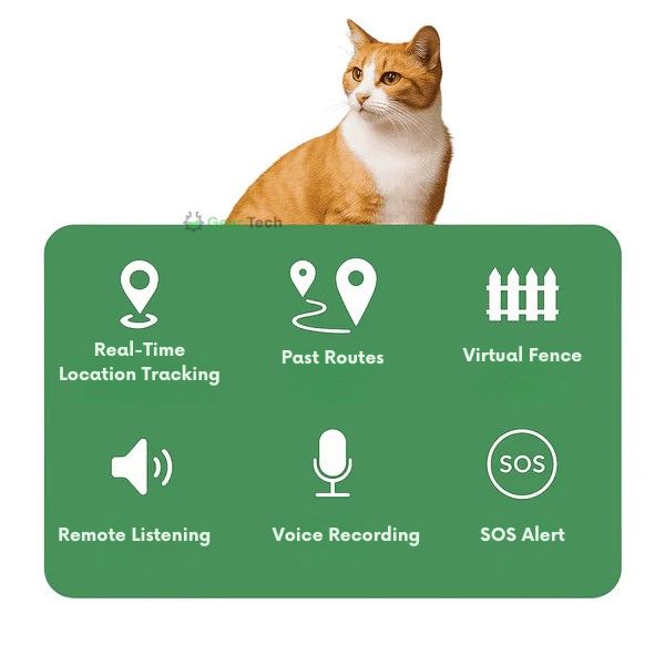 Collare GPS per Animali | Impermeabile, Regolabile e con Portata Illimitata per Cani e Gatti