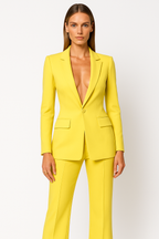 Women's Blazer & Pants Set – Elegant Business Outfit