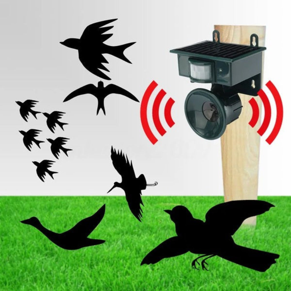 Dispositivo Dissuasore Uccelli con Sensore di Movimento – Scaccia Corvi e Piccioni con Suoni Repellenti