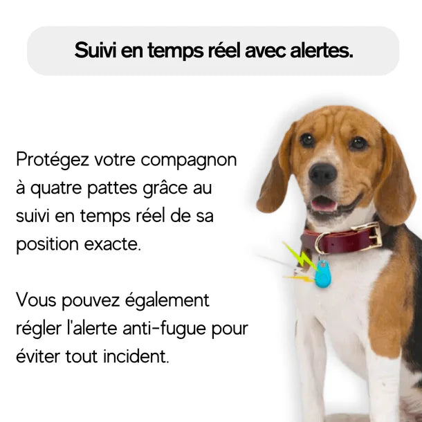 Collier GPS chien étanche et léger, collier GPS pour chien avec traceur GPS fiable sans abonnement