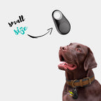 Collier GPS chien étanche et léger, collier GPS pour chien avec traceur GPS fiable sans abonnement