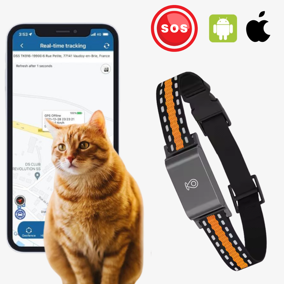 Collier GPS chat sans abonnement étanche et léger avec puce GPS chat et suivi en temps réel