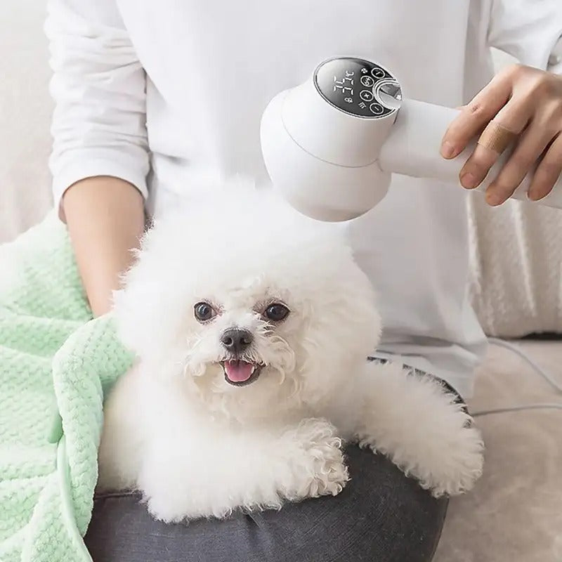 Hundefön leise mit Bürste – Geräuscharmer Pet Dryer für Hunde & Katzen mit Ionen-Technologie