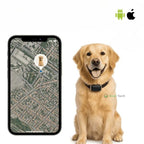 Collare GPS per Cani | Impermeabile, Regolabile e con Portata Illimitata per il Tracciamento in Tempo Reale