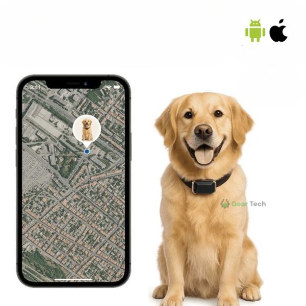 Collare GPS per Cani | Impermeabile, Regolabile e con Portata Illimitata per il Tracciamento in Tempo Reale