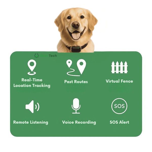 Collare GPS per Cani | Impermeabile, Regolabile e con Portata Illimitata per il Tracciamento in Tempo Reale