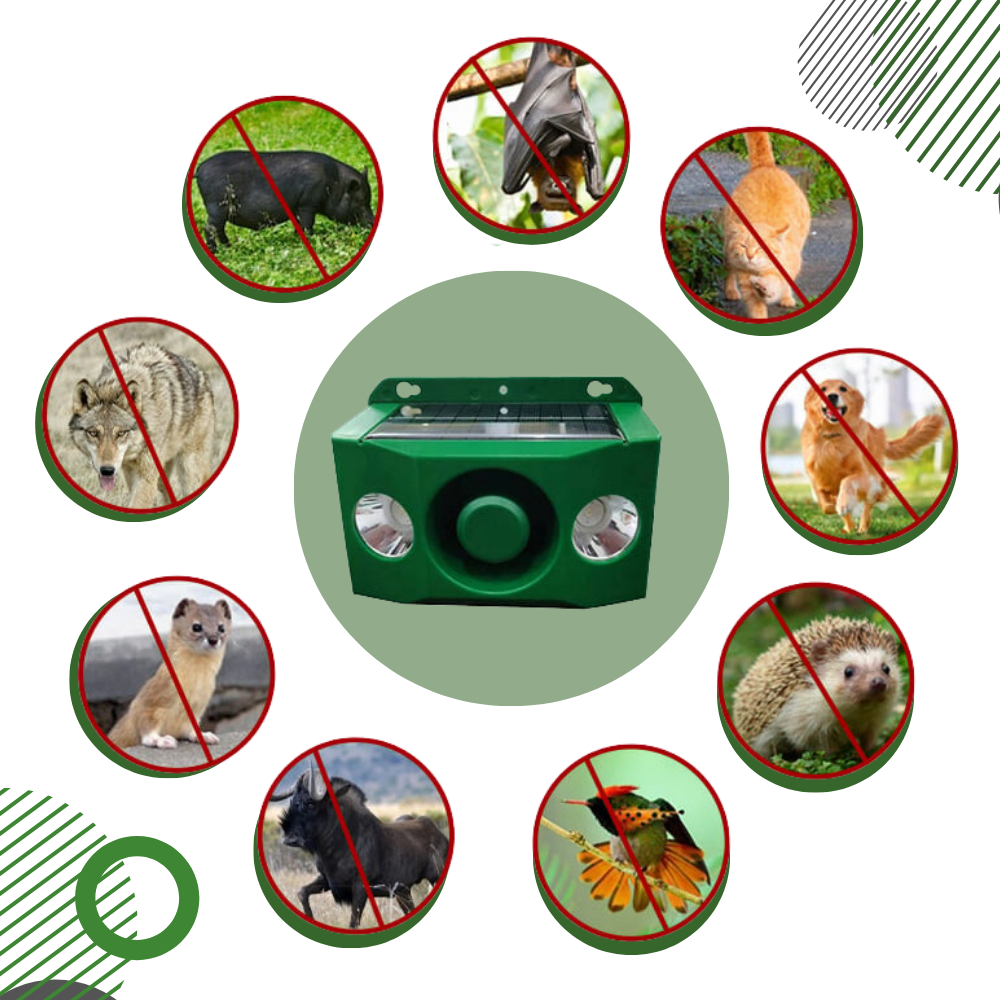 Répulsif ultrason chat extérieur – détecteur solaire à mouvement pour éloigner les animaux